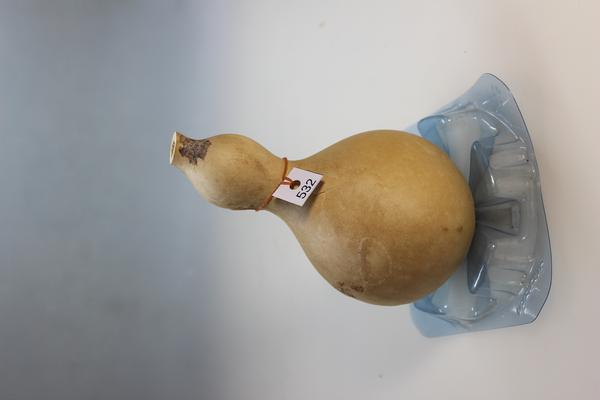 瓢箪 Women's Wendy Funk Coastal Jute Egret – Tradehome Shoes